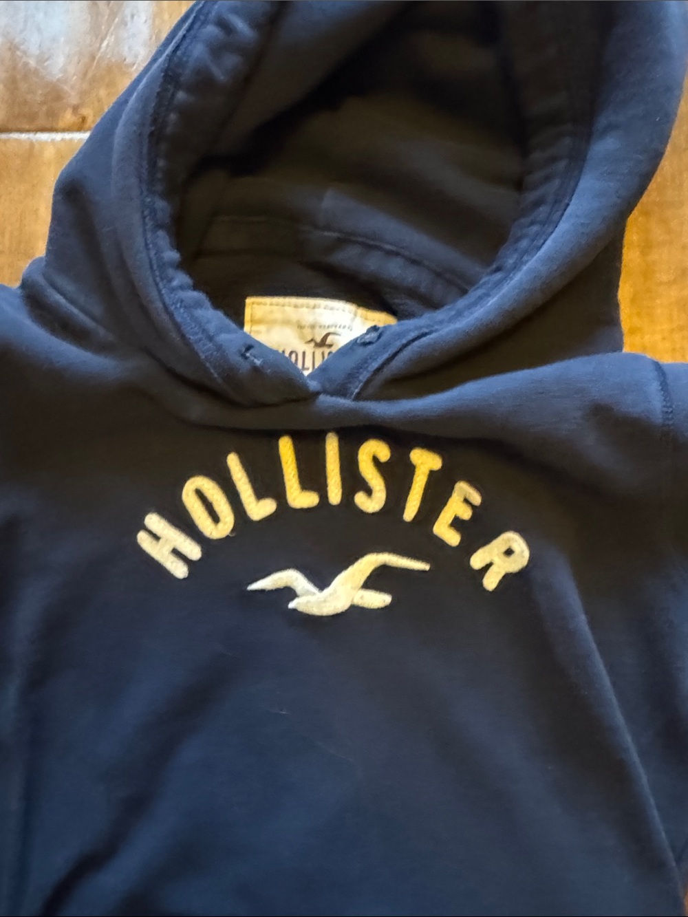 Hollister kids medium Hooded Sweatshirt - very nice KIDS